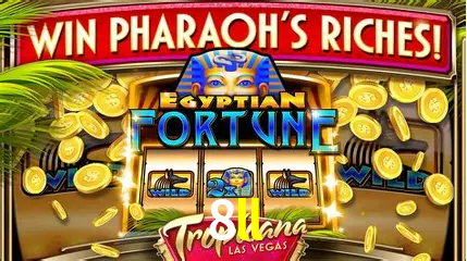 Live Casino 8ll